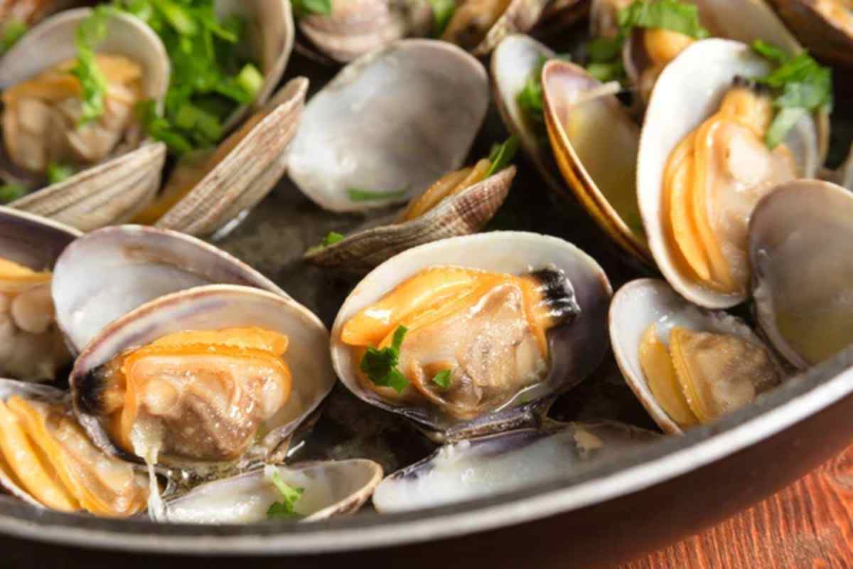 Come conservare le vongole