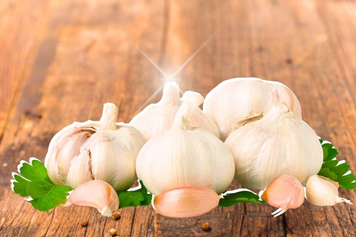 Quali sono i benefici dell'aglio